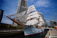 帆船日本丸 総帆展帆1