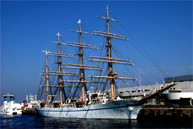 帆船日本丸 総帆展帆9